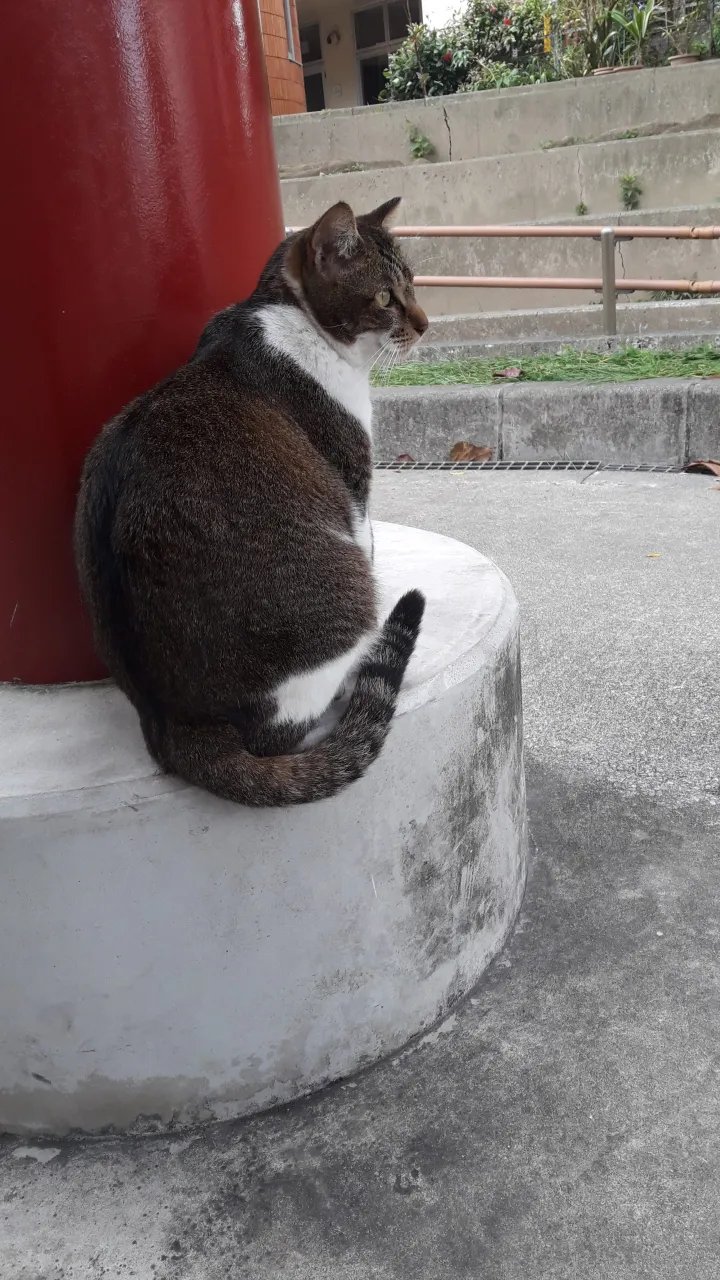 🌳 희망 언덕 공원(키보가오카 코엔) 이미지 3